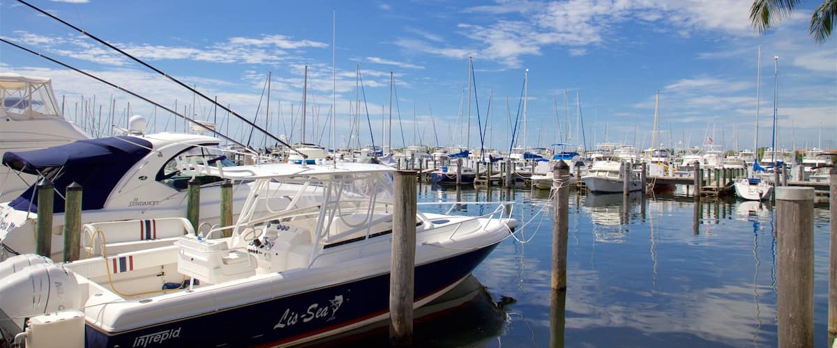 Coconut Grove featuring a marina