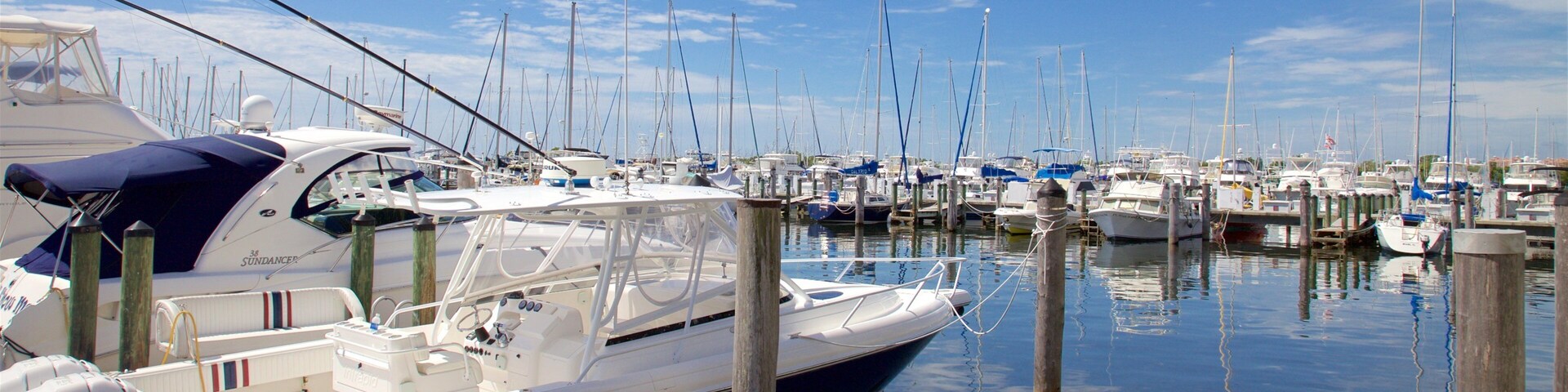 Coconut Grove featuring a marina