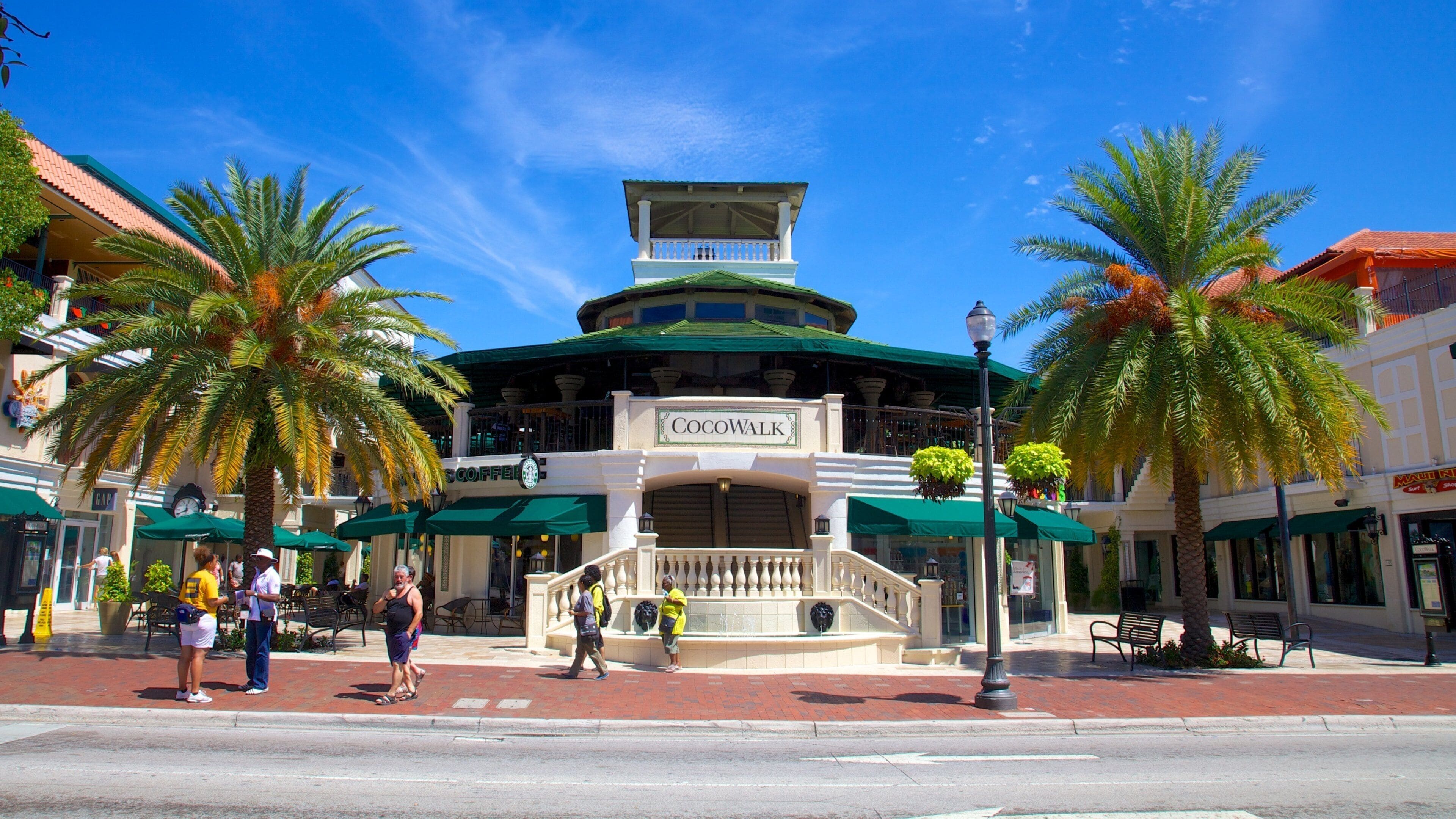 Coconut Grove showing shopping, a city and a square or plaza