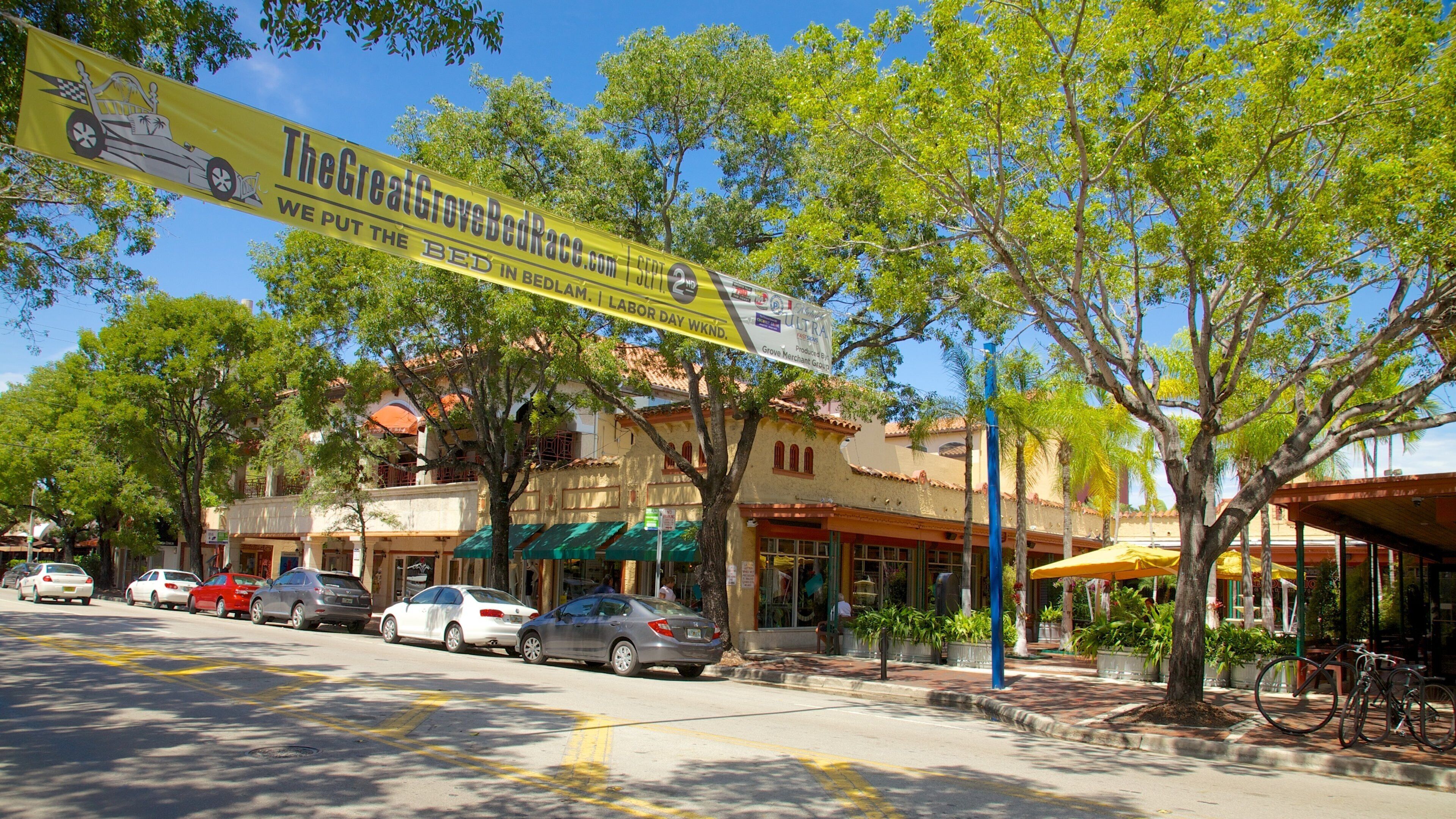 Coconut Grove showing street scenes and signage