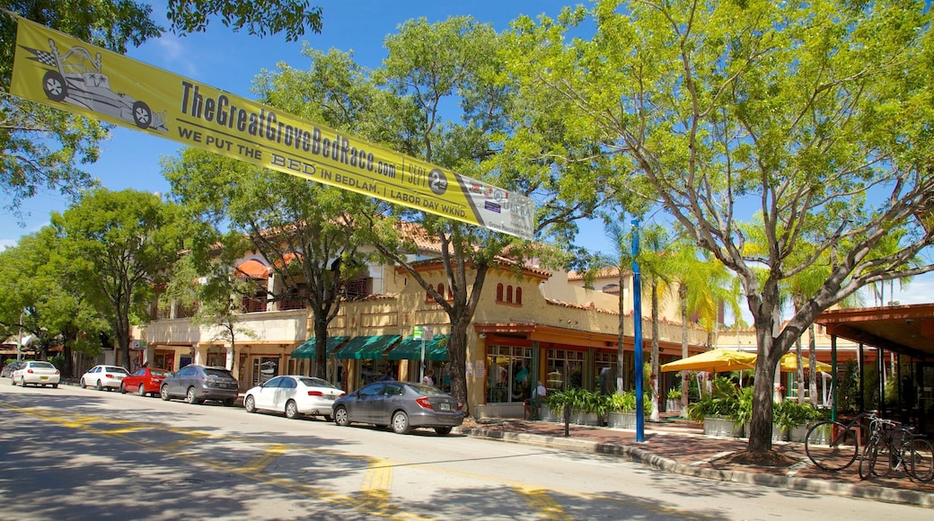 Coconut Grove showing street scenes and signage