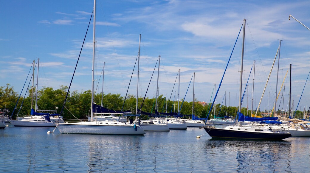 Coconut Grove ซึ่งรวมถึง อ่าวหรือท่าเรือ