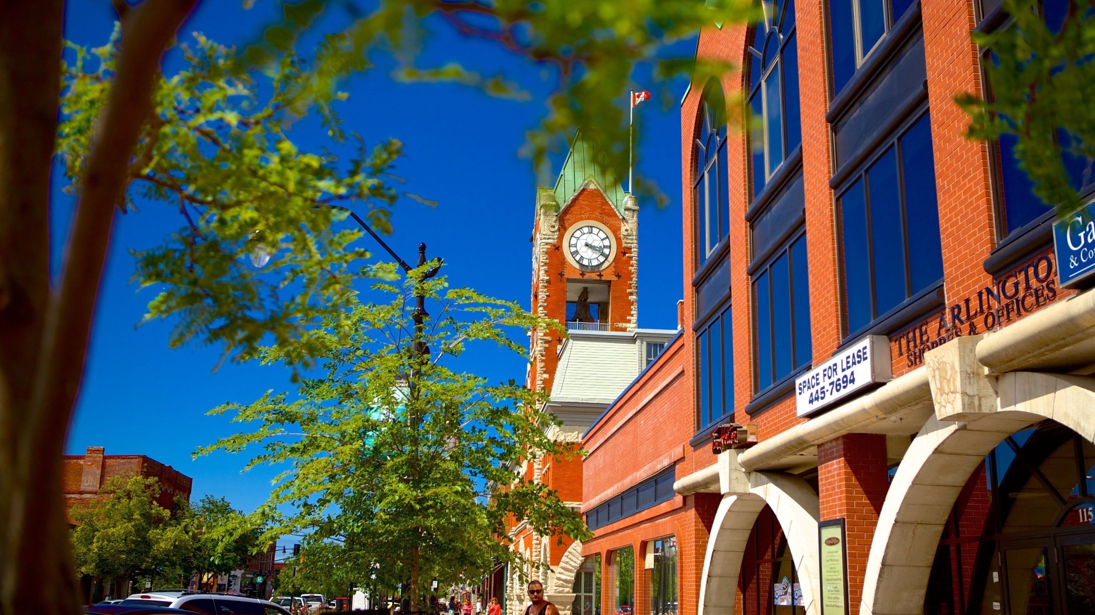 Collingwood featuring heritage architecture