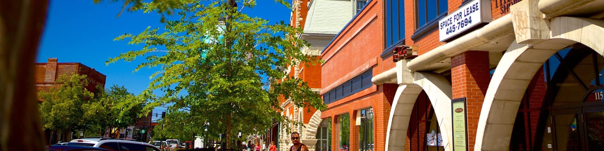 Collingwood showing heritage architecture