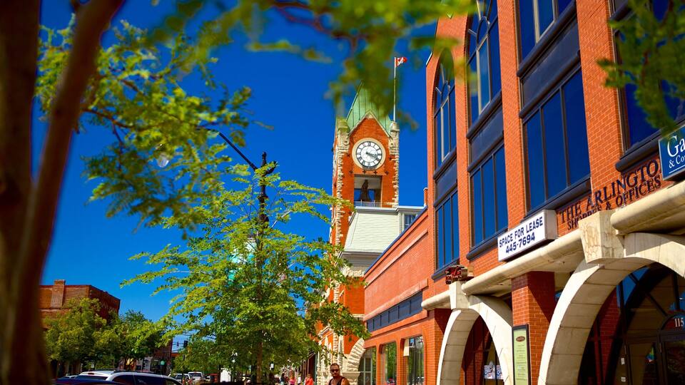 A street with a clock tower, a building with a sign for The Arlington Offices, and a tree in the foreground.