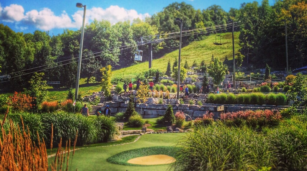 Blue mountain during summer time. #bluemountain #collingwood #summer #green #ontario