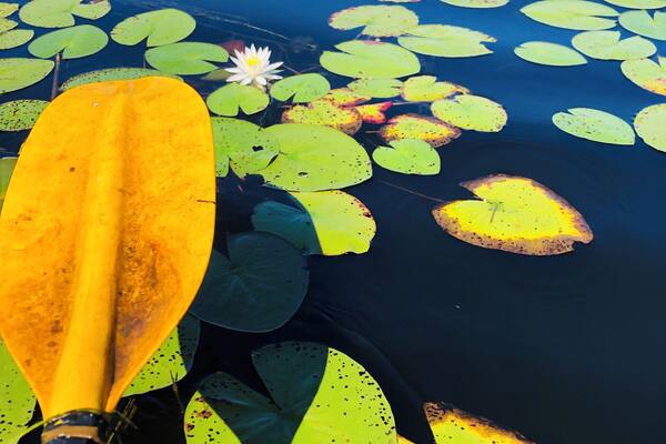 Sometimes it fun to explore a peaceful day in my kayak. #adventure