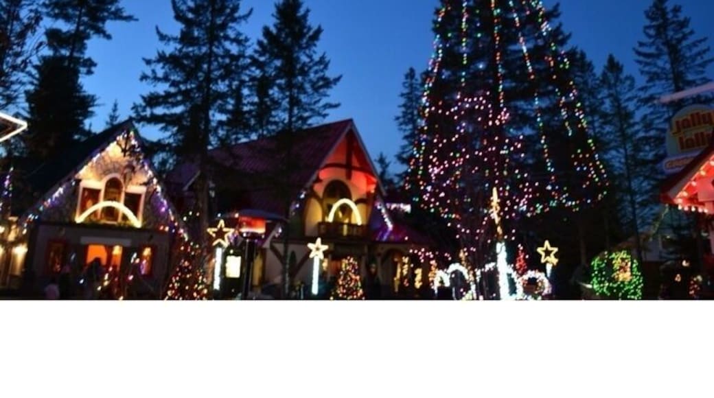 Thousands of Lights at Sant's Village.