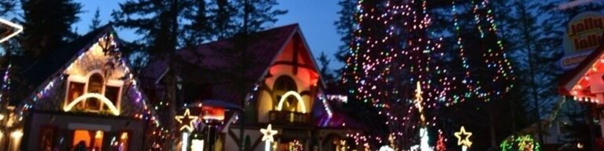 Thousands of Lights at Sant's Village.