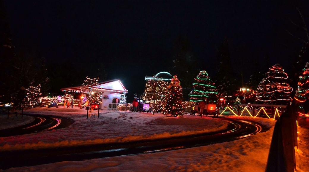 We love all the lights and rides at Santa's Village in New Hampshire.
