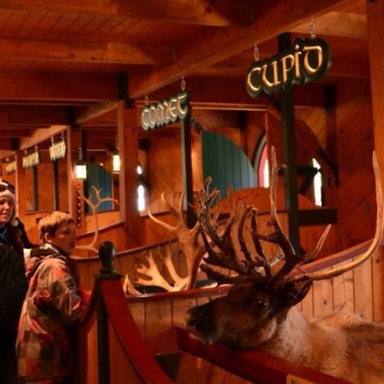 Meeting all of Santa's Reindeer in the stable.