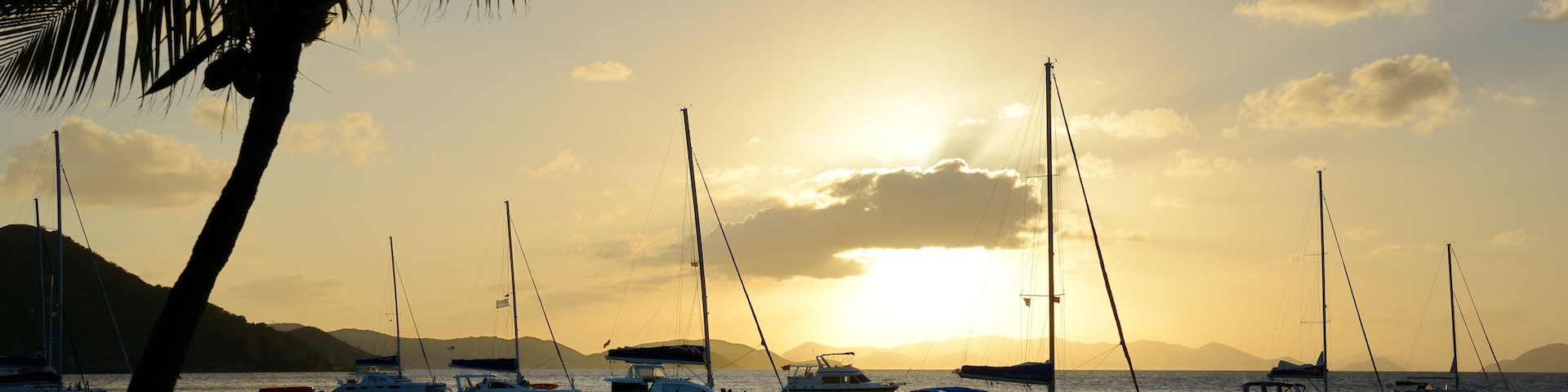 Atardecer sobre un puerto deportivo con veleros y una palmera.
