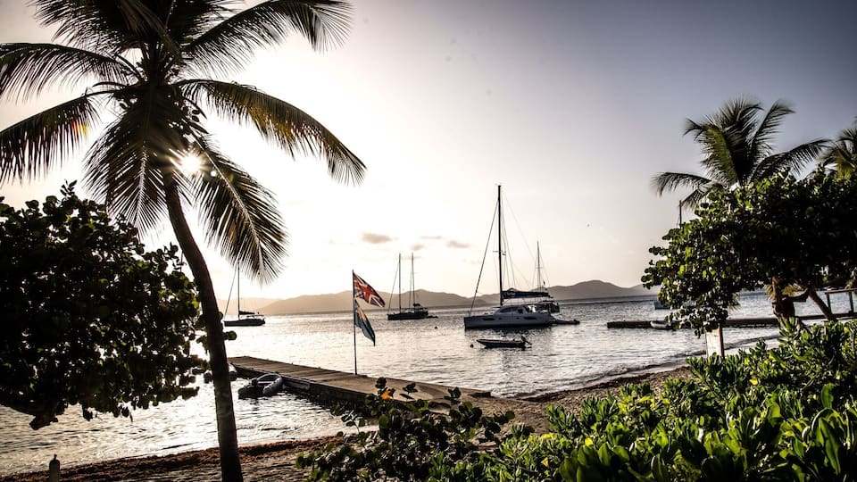 A beach with palm trees, boats, and a flag.