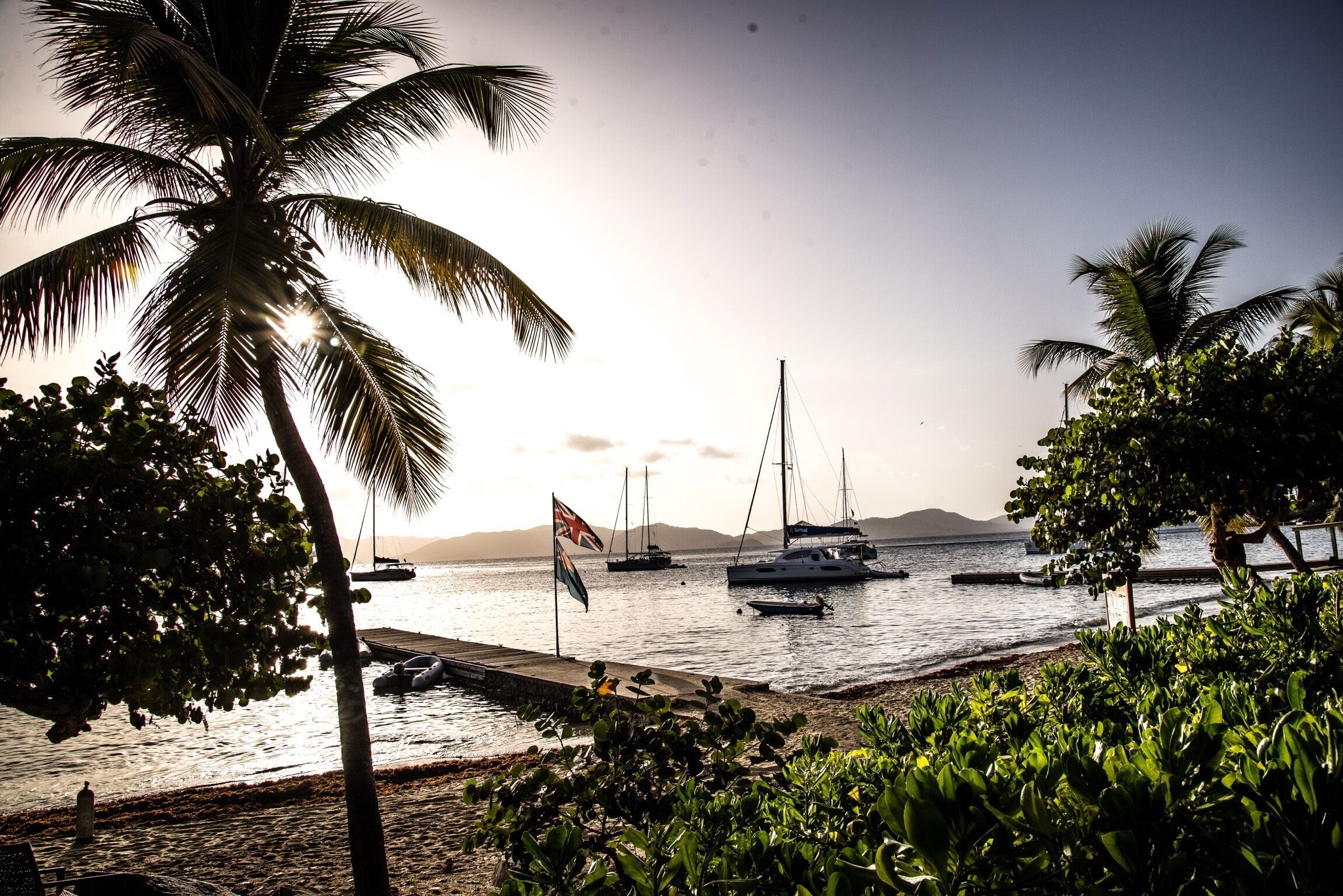 A beach with palm trees, boats, and a flag.