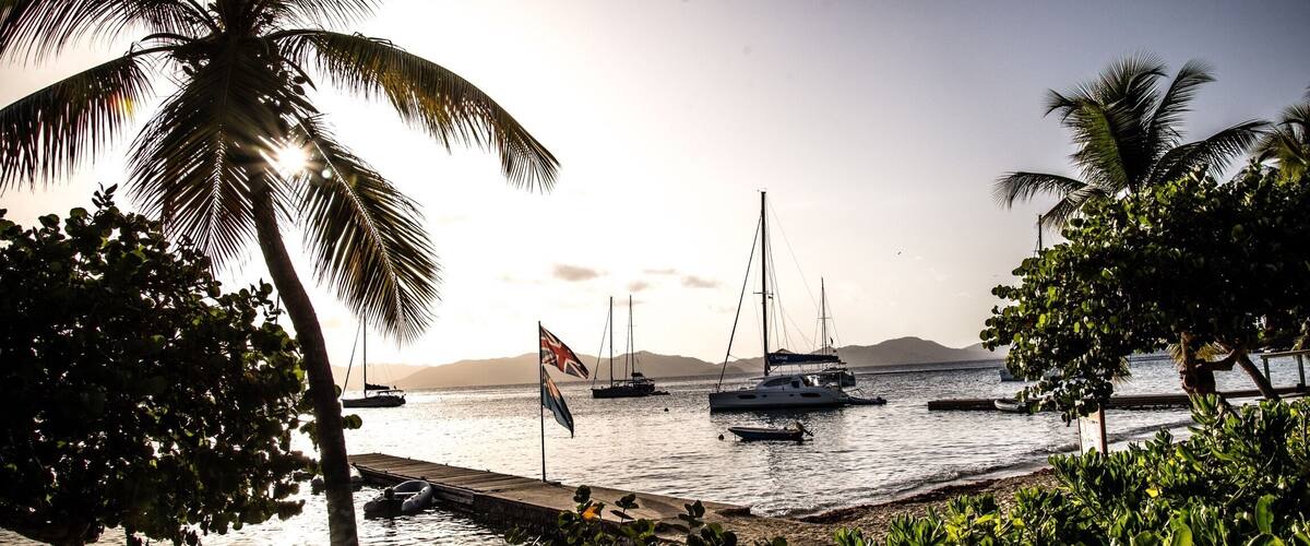 A beach with palm trees, boats, and a flag.