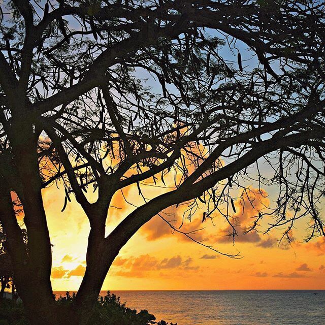 Can't stop thinking about the dreamy sunsets in Tobago.

For more idyllic beach photos in Tobago, see:  http://www.travelblissnow.com/beach-photos-tobago/