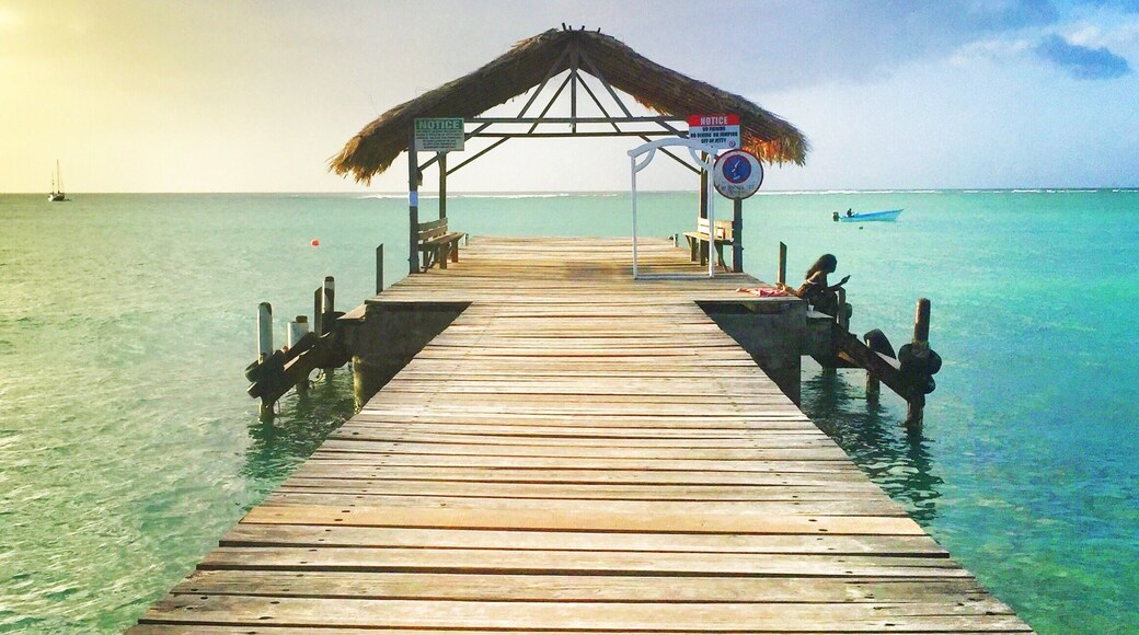 Pigeon Point Heritage Park is a perfect all-day beach and one of my favorite spots in T&T. This jetty is said
to be one of the most photographed in the world. I took this shot just as the sun was setting in the west, and love the two-tone color of the sky...