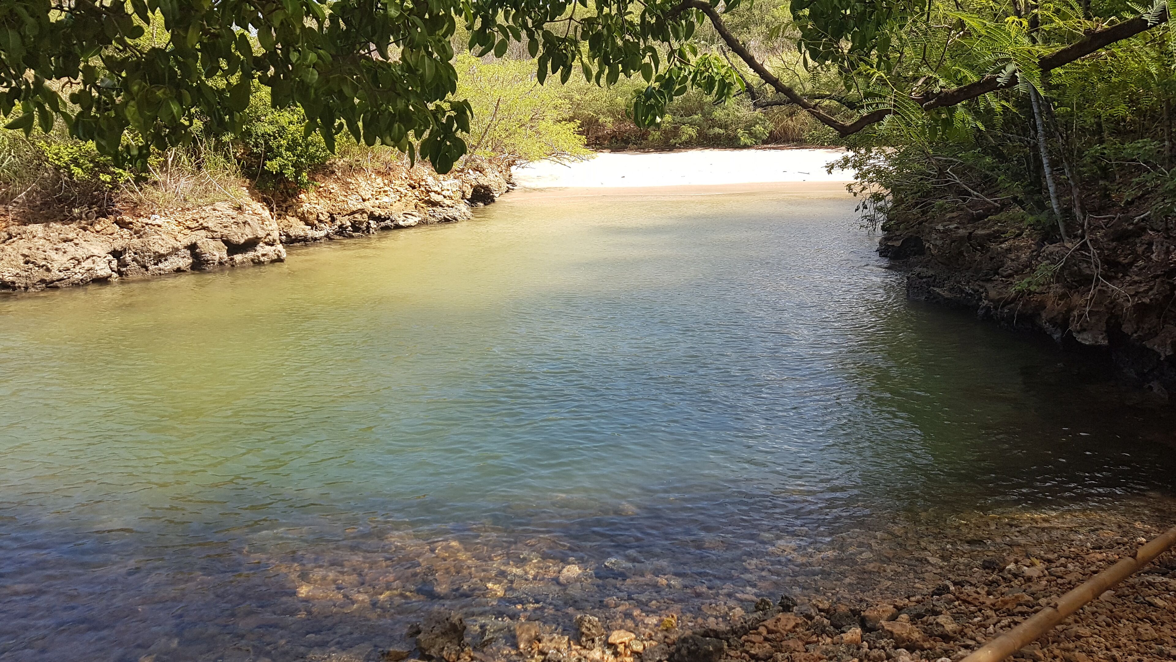 Great nature, birds and fishing!
