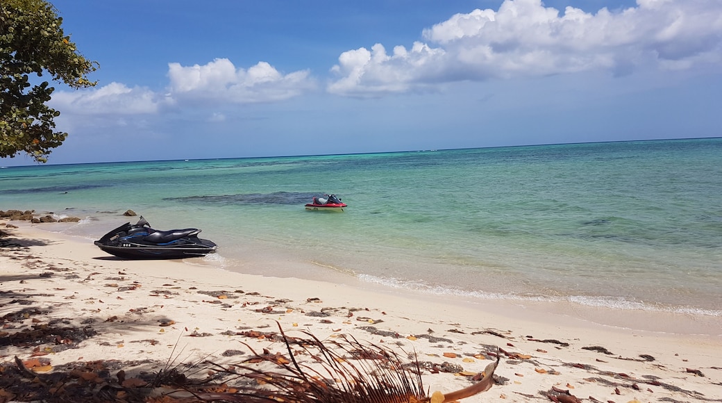 Great walking along the beach towards the Lagoon.
