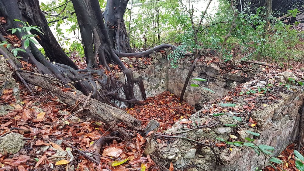 Ruins of Indigo factory, to process leaves and produce the Blue Dye! Pic from La Tartaruga exhibit.