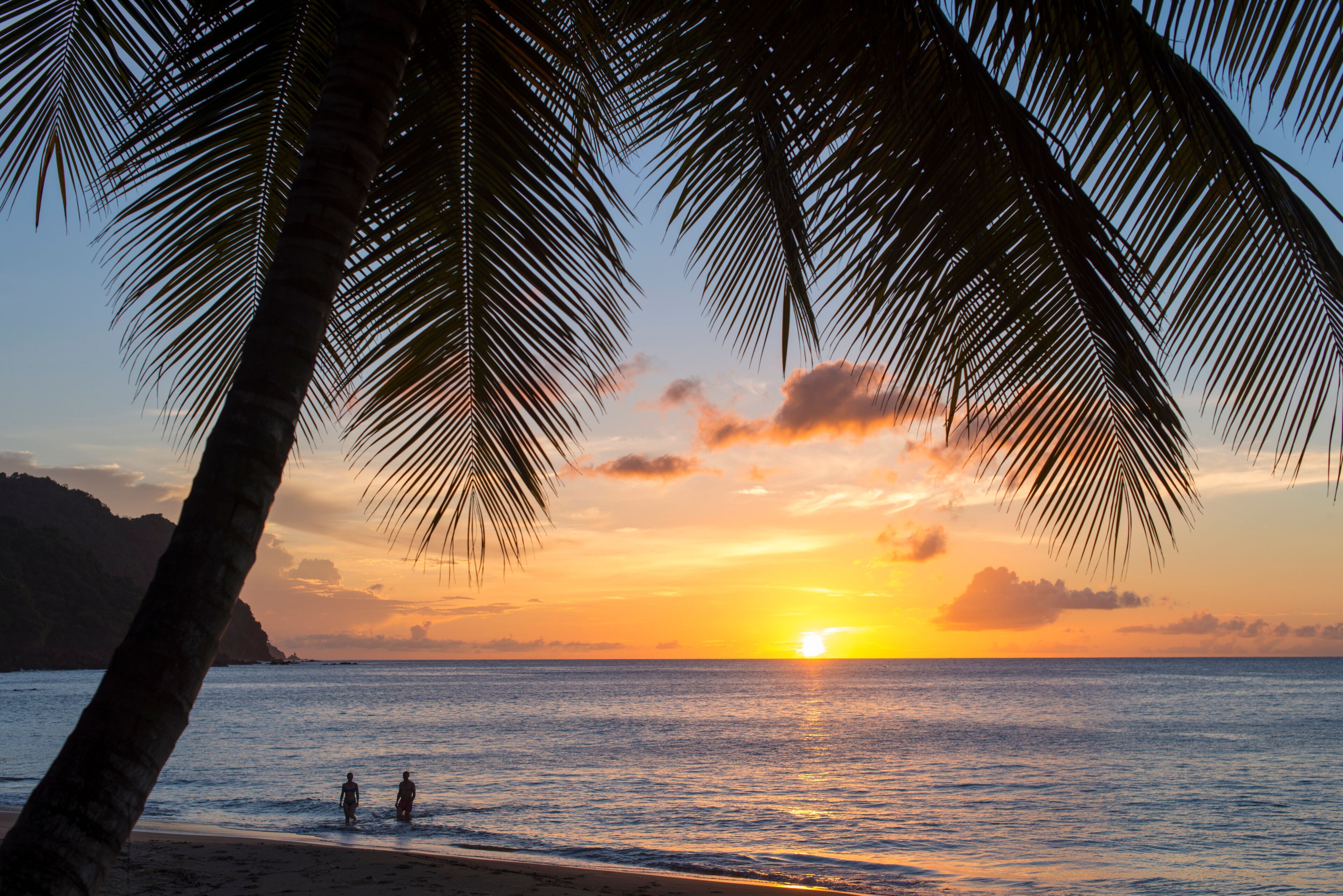 A view out to sea at sunset beneath the palm trees at Castara Bay in Tobago, Trinidad and Tobago