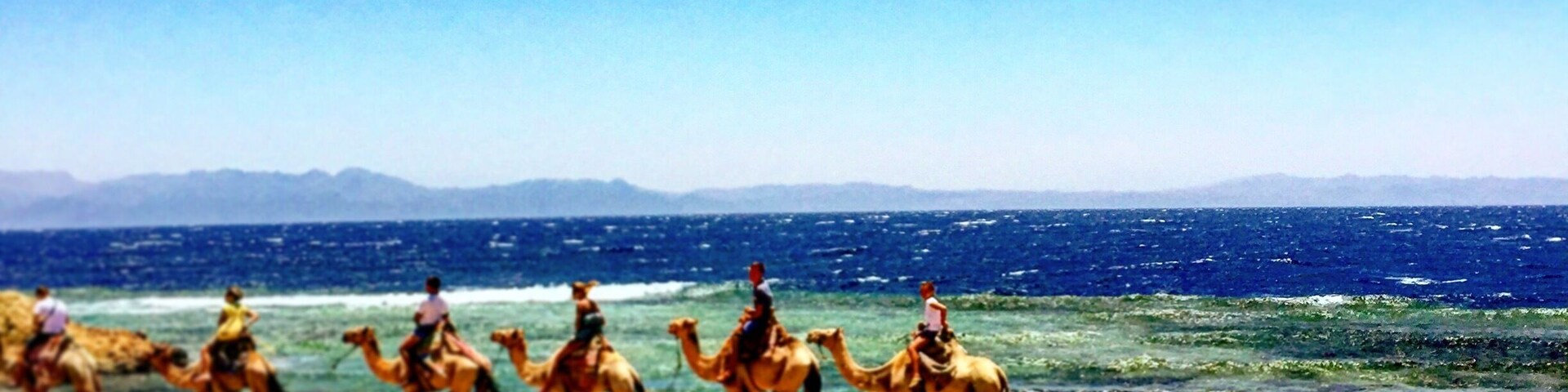 Riding camels is an absolute must in Egypt. Dahab is the perfect place to go as tourism is a little slow do you feel as if you are secluded on the paradise overlooking the Red Sea! If you look closely behind the camels that's Saudi Arabia! #waterlust #egypt