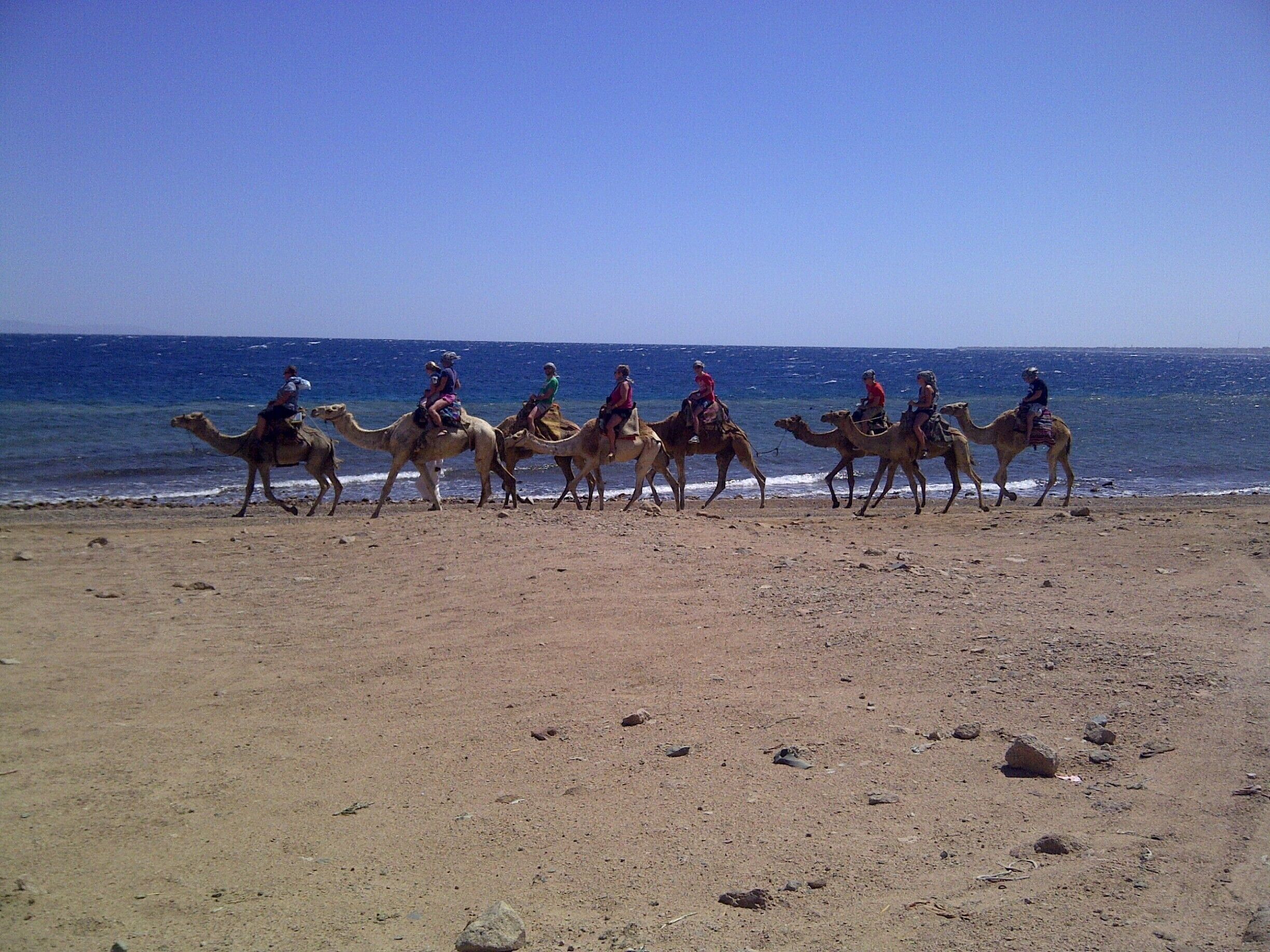 Best beach ever in EGYPT.