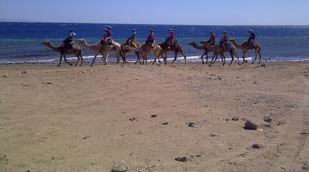 Best beach ever in EGYPT.