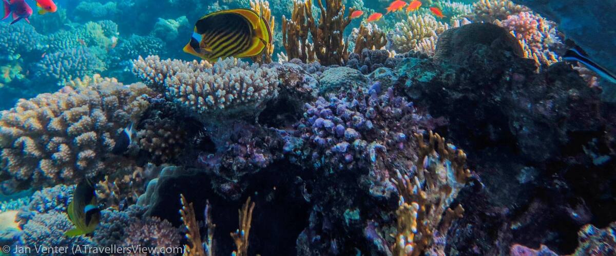 If scuba is not your thing. Even snorkelling make It sometimes feel like you are swimming in a giant fish tank.
#Blue
#waterlust
http://www.atravellersview.com/galleries