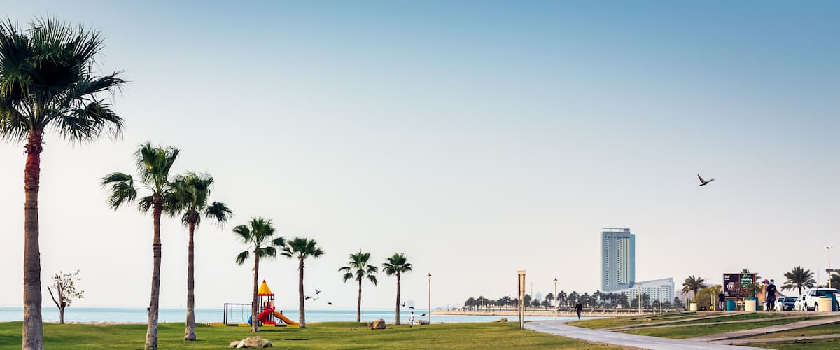 A park with palm trees, a playground, a beach, and a tall building in the background.