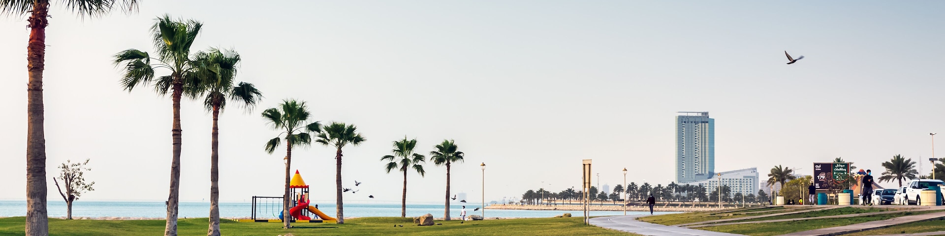 A park with palm trees, a playground, a beach, and a tall building in the background.