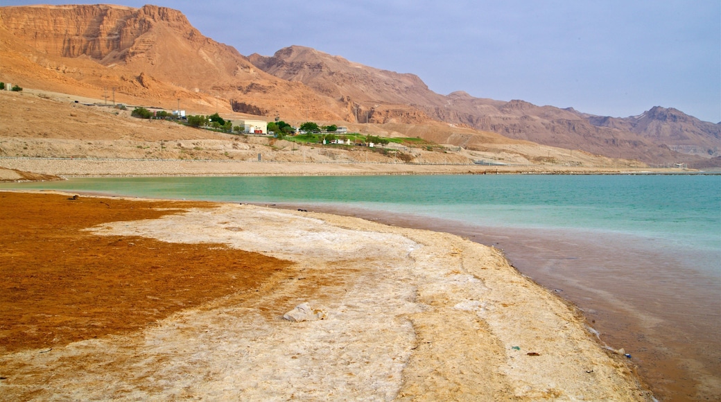 Ein Bokek featuring a beach and general coastal views