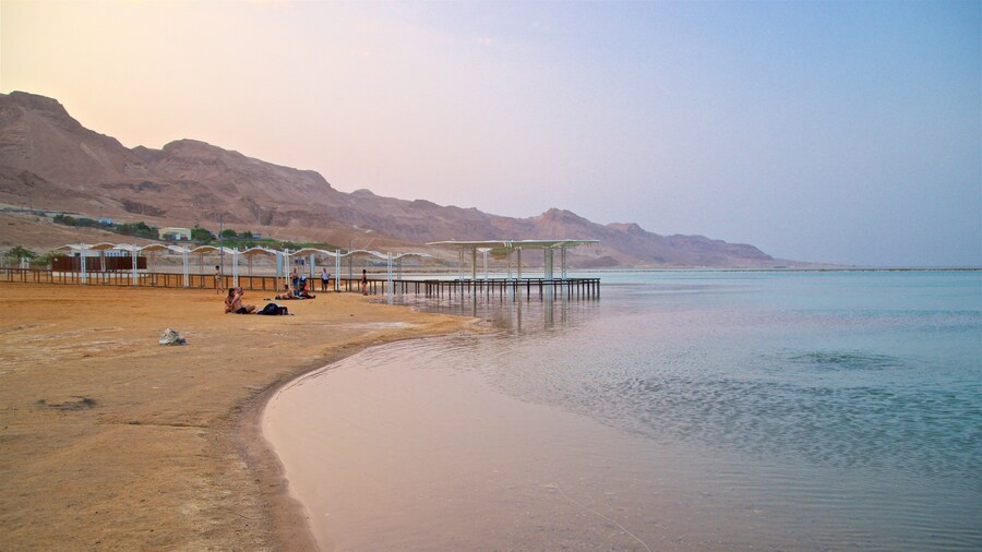 エイン ボケック