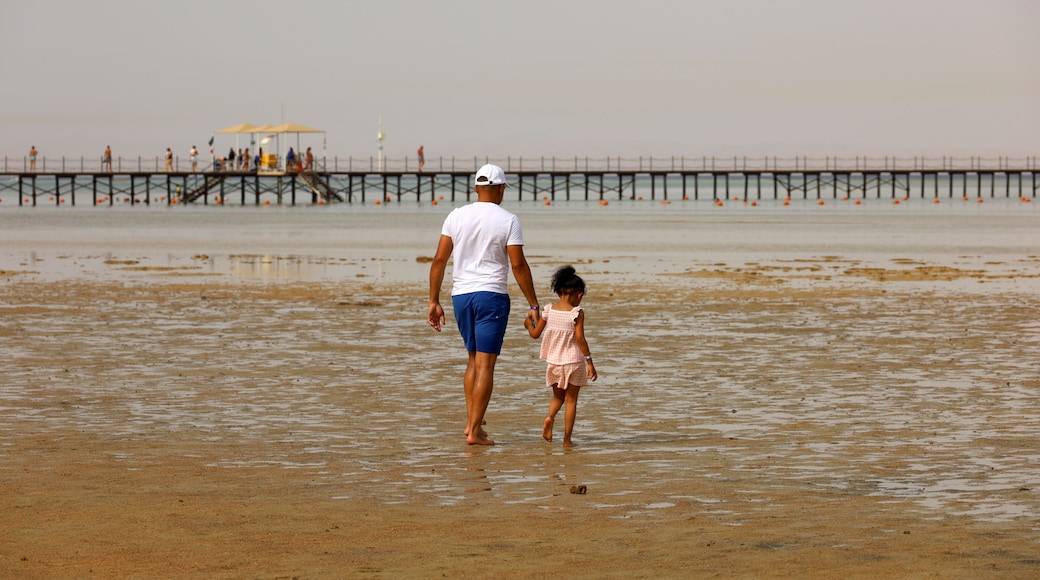 Father leading child along the beach at low tide. Man with little girl on Red sea resort