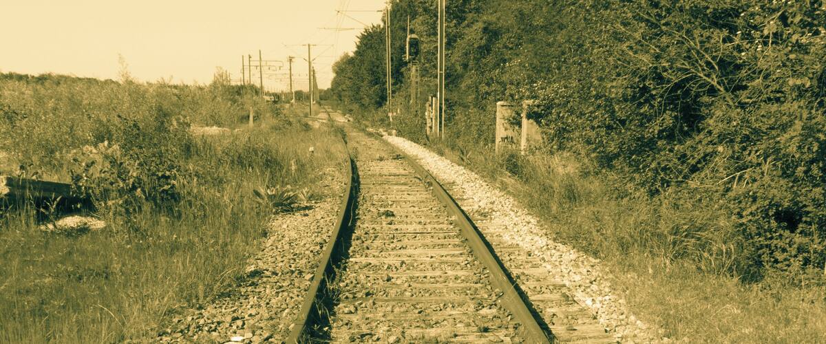 A railway track with surrounding vegetation and utility poles.