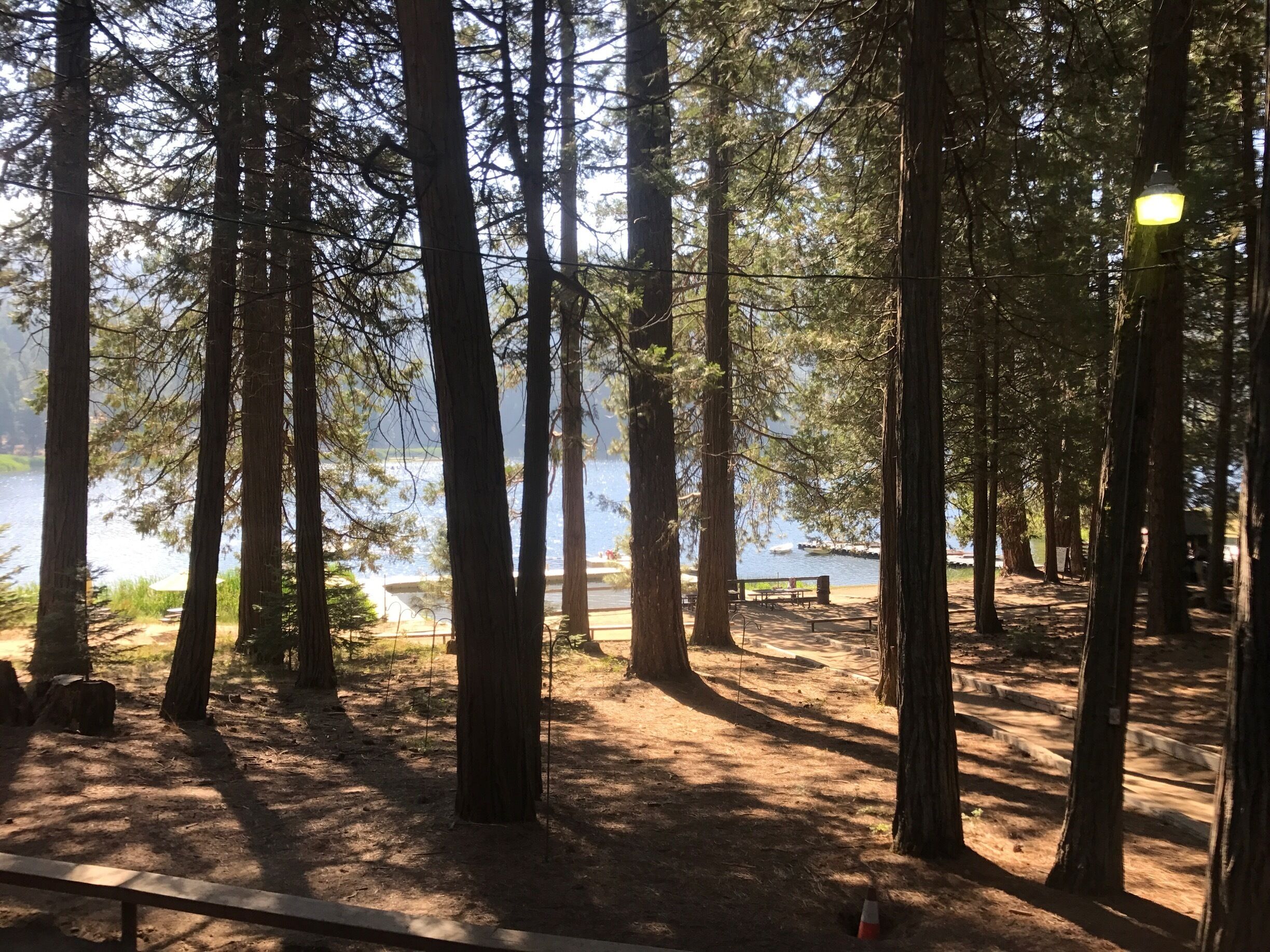 The morning at Camp Tulequoia in the Sequoia National Forest.