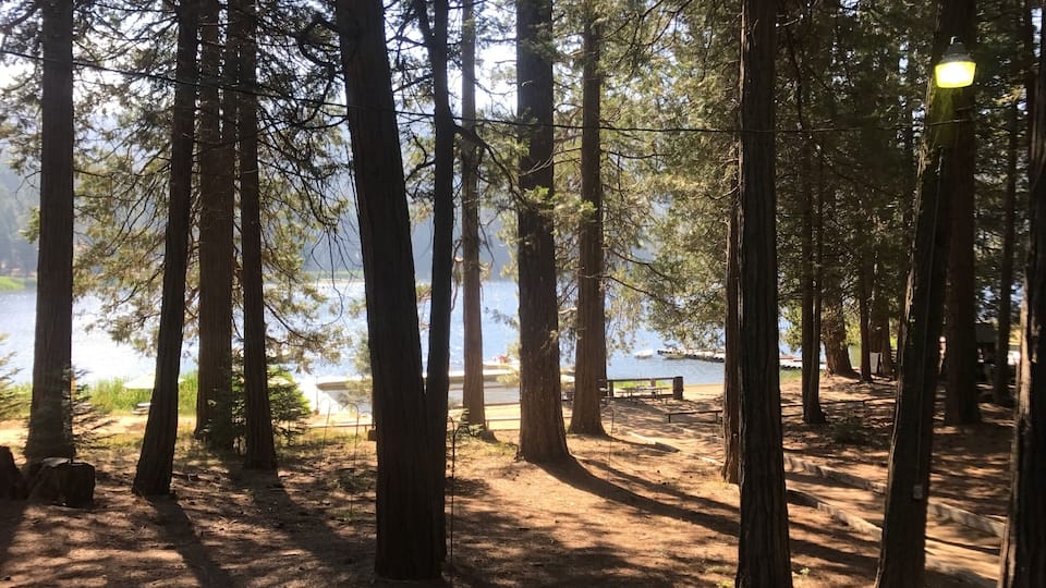 The morning at Camp Tulequoia in the Sequoia National Forest.