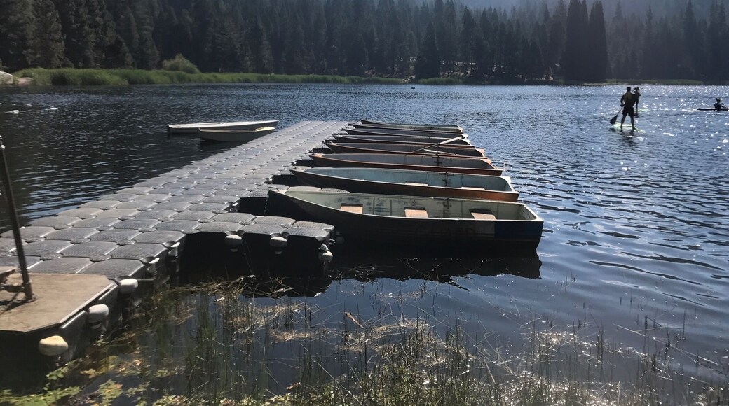 The lake at Camp Tulequoia in the Sequoia National Forest.