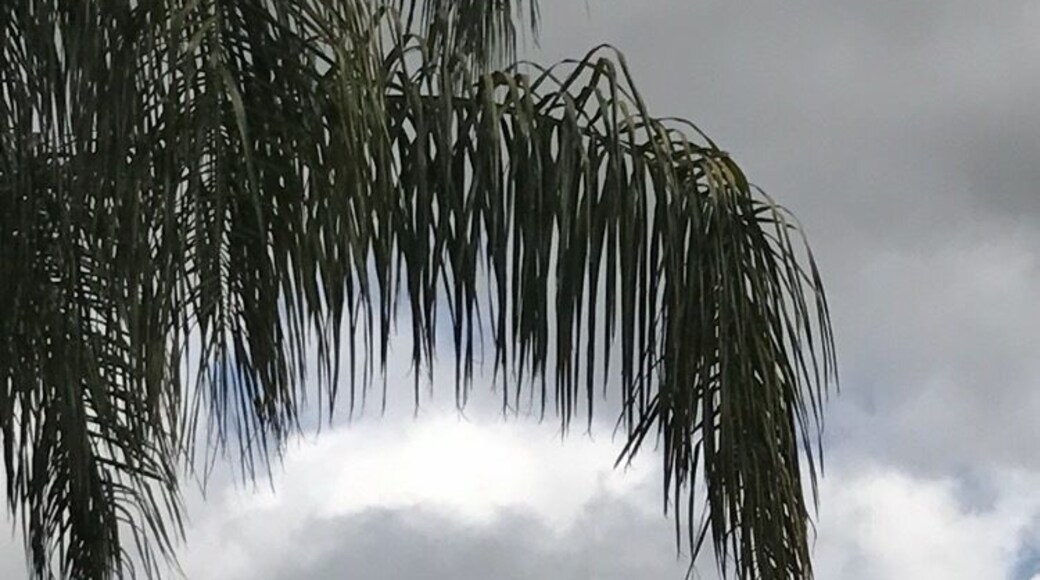 Beautiful spring day in the bread basket❤️