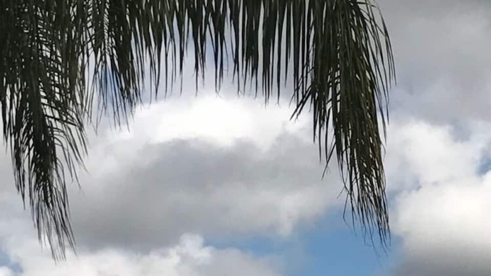 Beautiful spring day in the bread basket❤️