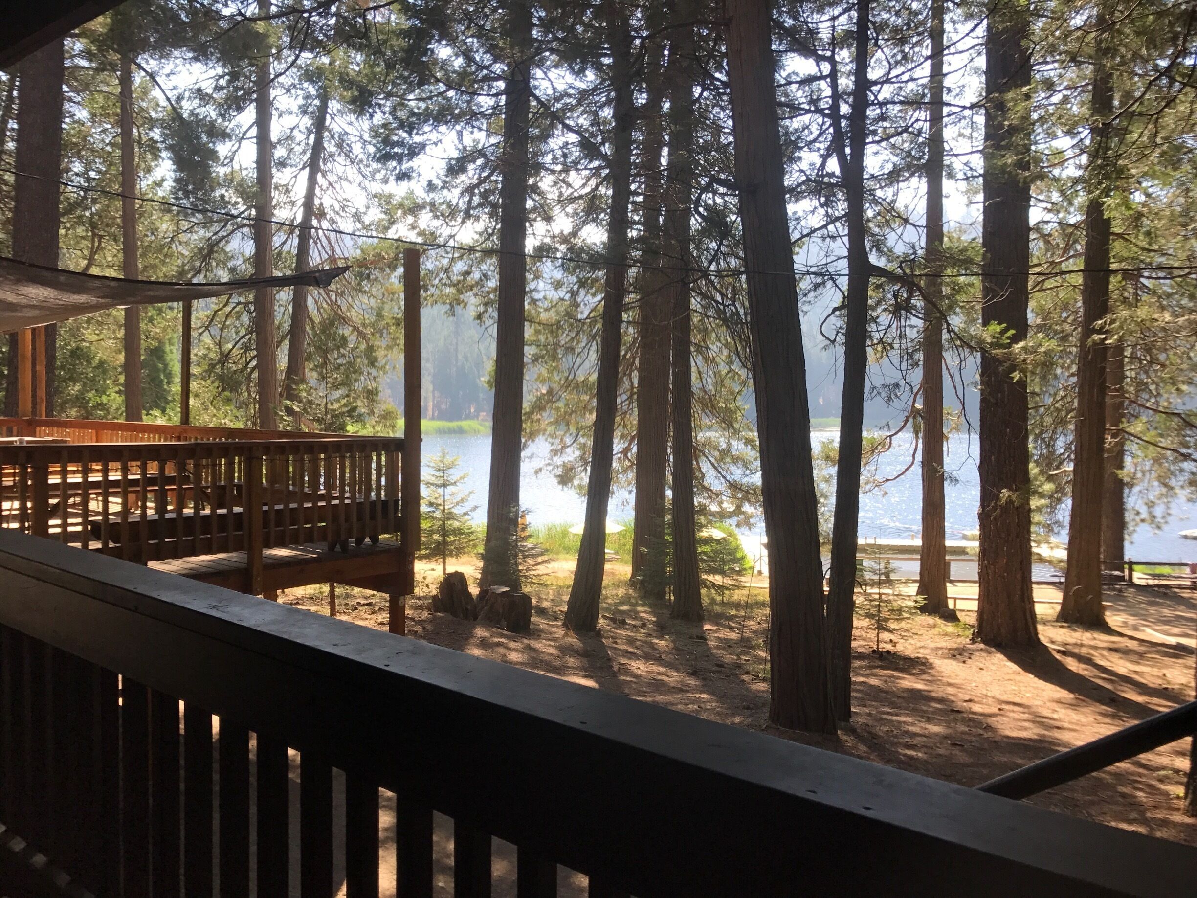 The morning at Camp Tulequoia in the Sequoia National Forest.