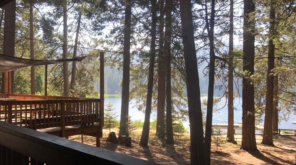 The morning at Camp Tulequoia in the Sequoia National Forest.