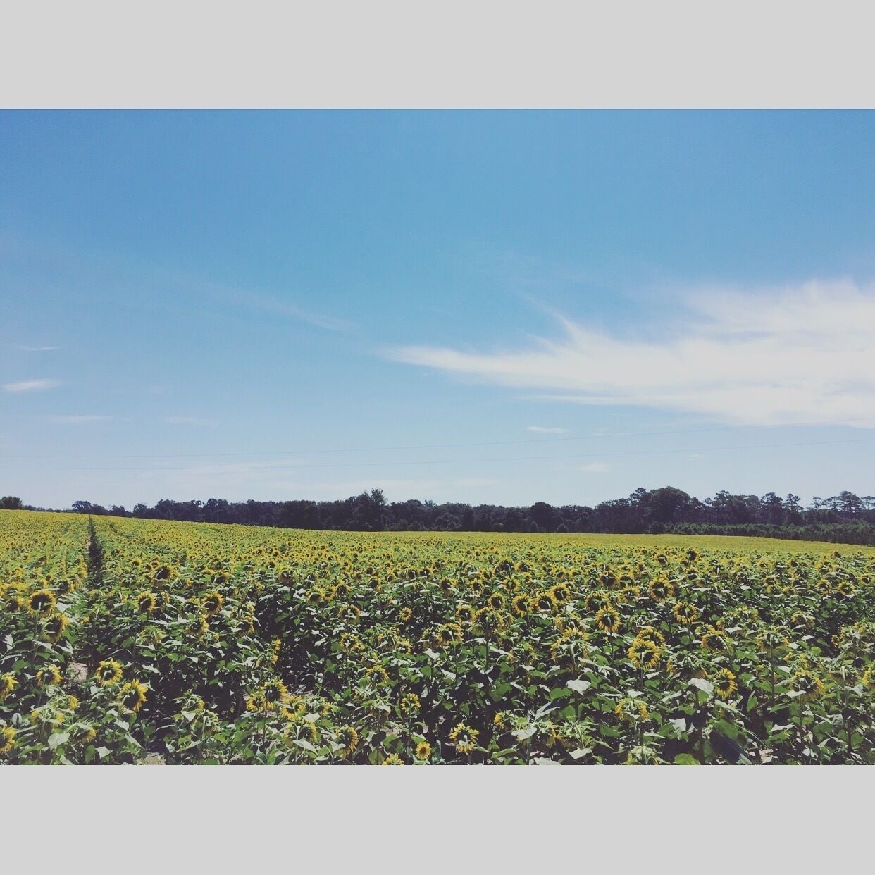 Ran into this place on the side of I75N