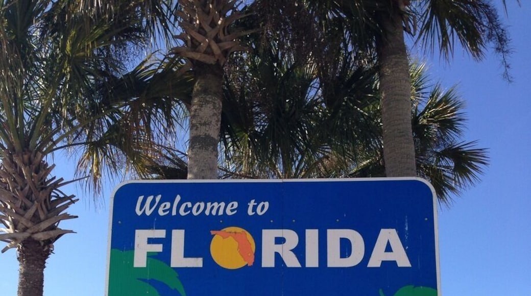 We arrived in Florida around 9am. We left Savannah at 7am to avoid traffic because when we left 10 the day before we got trapped in major traffic on I-95. So be warned that the early bird catches the worm. The bathrooms were alright but because this was the busiest rest stop (I mean packed) the washrooms were pretty gross). Inside the welcome centre there was a lady that handed out fresh squeezed Florida orange juice and grapefruit juice. So good and refreshing because it got really really hot and humid when we arrived here. Lots of maps inside, and info on every region of Florida.
