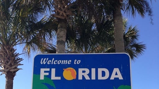 We arrived in Florida around 9am. We left Savannah at 7am to avoid traffic because when we left 10 the day before we got trapped in major traffic on I-95. So be warned that the early bird catches the worm. The bathrooms were alright but because this was the busiest rest stop (I mean packed) the washrooms were pretty gross). Inside the welcome centre there was a lady that handed out fresh squeezed Florida orange juice and grapefruit juice. So good and refreshing because it got really really hot and humid when we arrived here. Lots of maps inside, and info on every region of Florida.