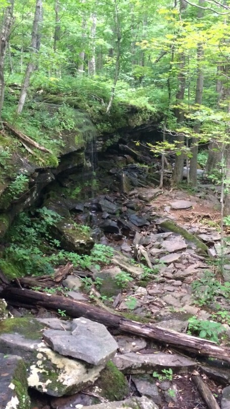 A water fall along the trails by north south lake campground. Area is filled with wild life including black bears.