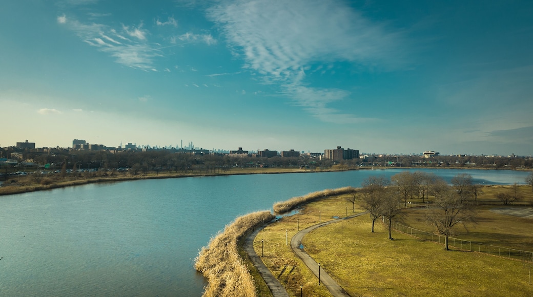 Flushing