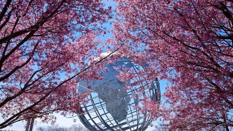 A large spherical structure surrounded by cherry blossom trees.