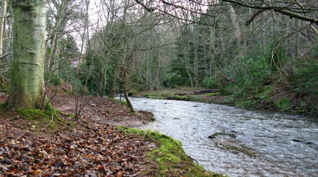 Gifford Water, Carter's Haugh, Gifford Gifford Water runs through the Lothian village of Gifford.