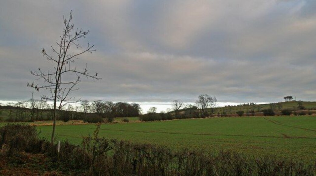 The Common, Gifford Rather a strange sky over the Common, north of the East Lothian village of Gifford.